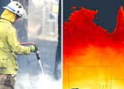 Proof it’s been wet, hot in major Aussie city