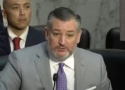 Ted Cruz says ‘Let’s stop attacking pedophiles’ in embarrassing gaffe during rant about crime