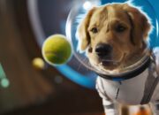OpenAI launches TikTok competitor app Sora