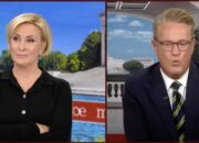 MSNBC co-hosts butt heads over shutdown: ‘What exactly are the Democrats supposed to do?’