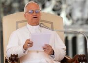 Pope Leo questions what it actually means to be pro-life