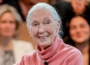Famed conservationist and chimpanzee friend Jane Goodall dies at 91