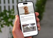 How AI will be used to help neighbours find lost dogs