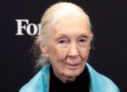 Famous Animal Welfare Activist Dr. Jane Goodall Dead at 91