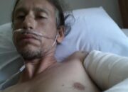 Employee injured after he was startled by wasp has $870k damages win upheld