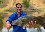 NSW EPA blamed for slow contamination warning on Belubula River