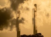 Corporate ‘middlemen’ mask who really profits from Australian fossil fuel projects, report warns