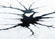 Scientists Discover Lifeforms Beneath Antarctica’s Frozen Lake