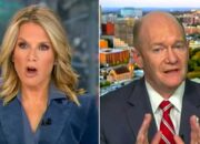‘Not true’: Fox News host hit with fact check from Dem on health care for ‘illegals’