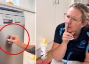 Real estate agent’s ‘ridiculous’ dishwasher demand highlights ongoing battle for Aussie renters